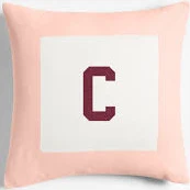 Crate & Barrel Legacy Border Throw Pillow