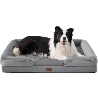 28 Best Gifts for Pets in 2026