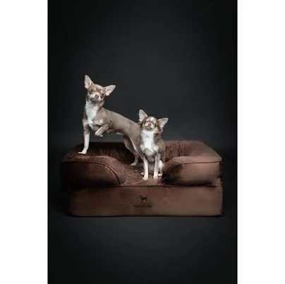 Noah & PAW Dog Bed Orthopedic Dog Beds