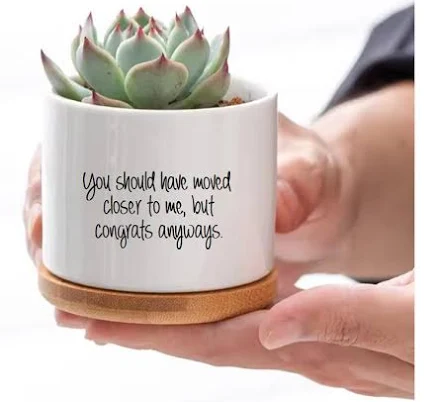 Should Have Moved Closer Succulent Flower Pot, Housewarming New Home Gift For Couple, New Apartment, First Home, Friendship Moving
