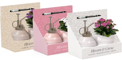 LiveTrends Bloom & Grow Assorted Foliage Gift Set Houseplant