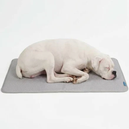 28 Best Summer Gifts for Dog Lovers in 2026