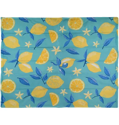 Vibrant Life Pet Gel Cooling Mat