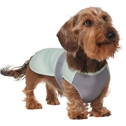Frisco Summer UPF 45 Cooling Dog Vest