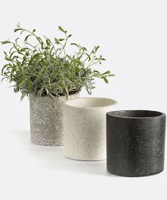 La Redoute Interieurs Lot 3 Cache-pots en Terrazzo Ø12 cm Boham