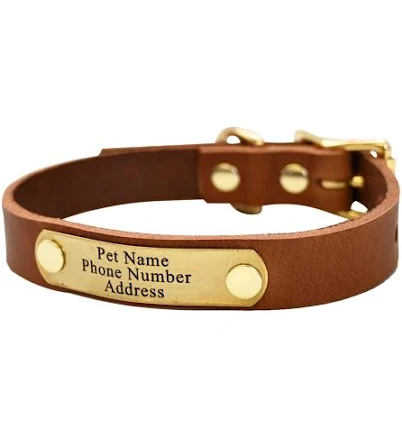 Personalized Small Dog Collar