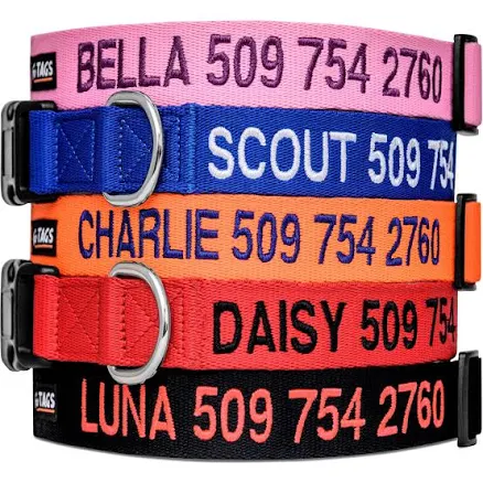 GoTags Personalized Dog Collar