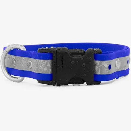 If It Barks Waterproof Reflective Dog Collar