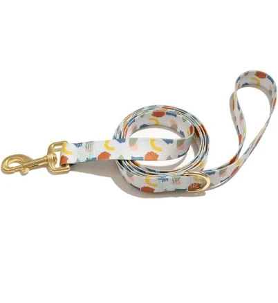 Vibrant Life Polka Dot Print Standard Dog Leash