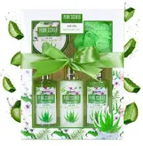 BRUBAKER Cosmetics Bade und Dusch Set Aloe Vera
