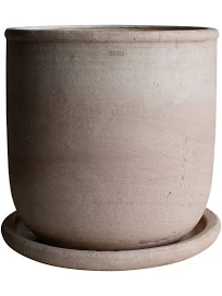DBKD Pot Terra